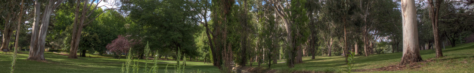 Managing Canberra’s Urban  Forest